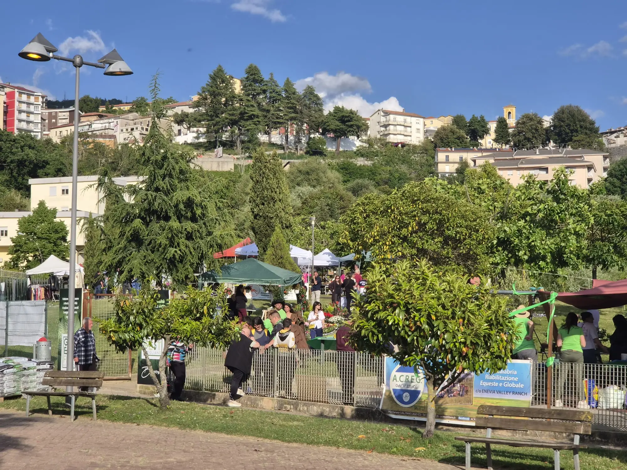 Green Fest conquista Rogliano: il parco immerso nel verde diventa il cuore ecologico della valle