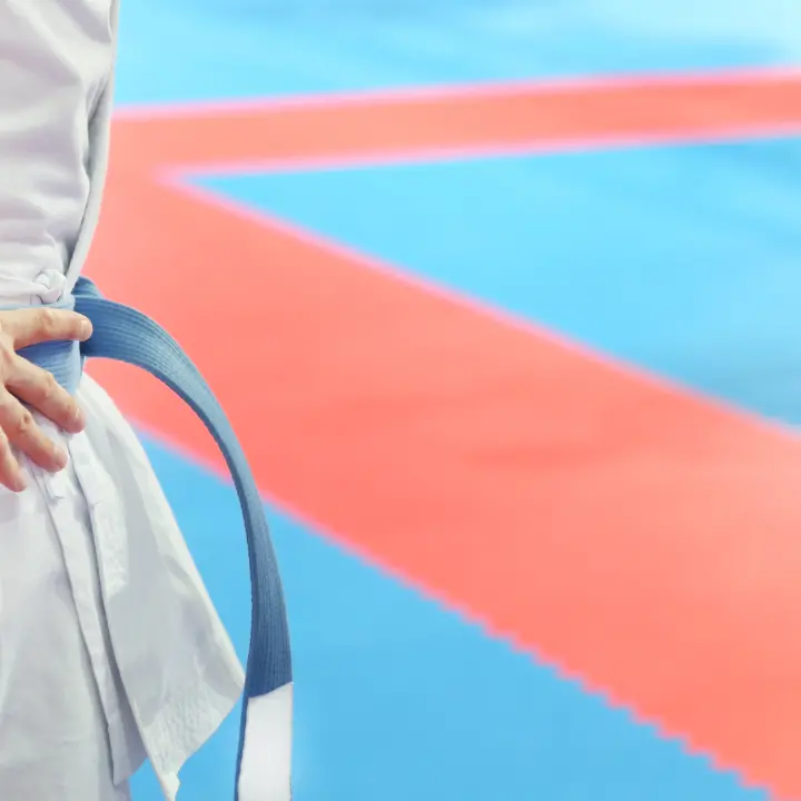 Vibo si prepara ad ospitare la fase regionale di qualificazione del Campionato italiano di karate\n