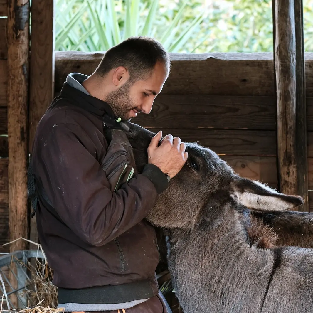 Vibo, alla fattoria sociale Junceum un corso di formazione per gli Interventi assistiti con gli animali\n