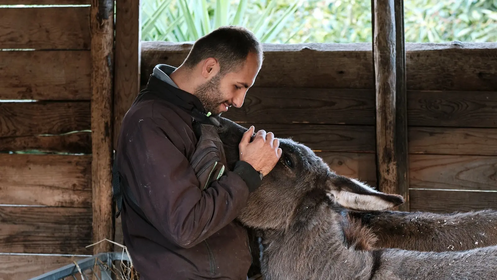 <p>La fattoria Junceum di Vibo (Foto: Officina fotografica)</p>\\n