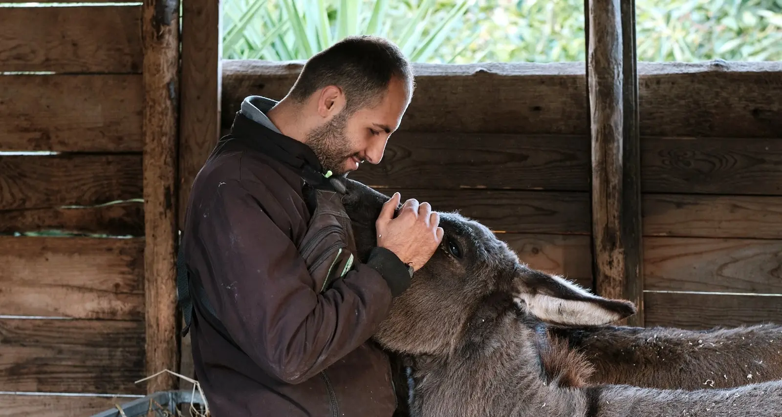 Vibo, alla fattoria sociale Junceum un corso di formazione per gli Interventi assistiti con gli animali\n