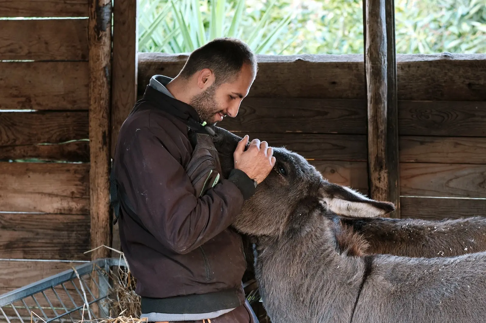 Vibo, alla fattoria sociale Junceum un corso di formazione per gli Interventi assistiti con gli animali\n