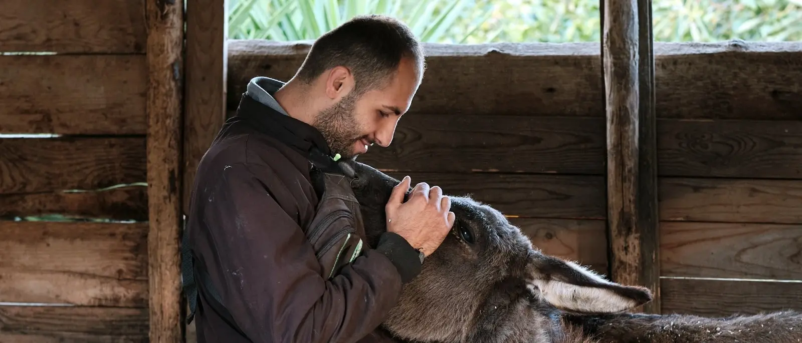 Vibo, alla fattoria sociale Junceum un corso di formazione per gli Interventi assistiti con gli animali\n
