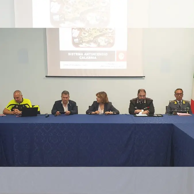 Incendi boschivi, in Prefettura a Vibo incontro per la prevenzione e il contrasto: «Coordinamento costante per tutelare il territorio»\n