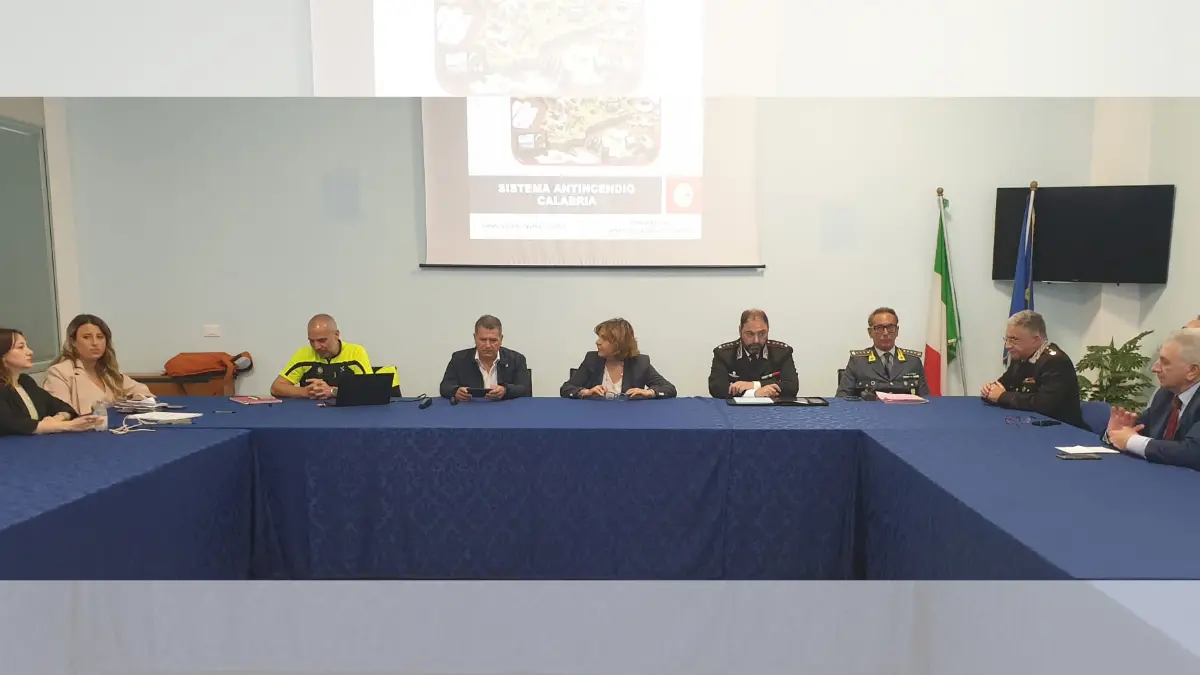 Incendi boschivi, in Prefettura a Vibo incontro per la prevenzione e il contrasto: «Coordinamento costante per tutelare il territorio»\n