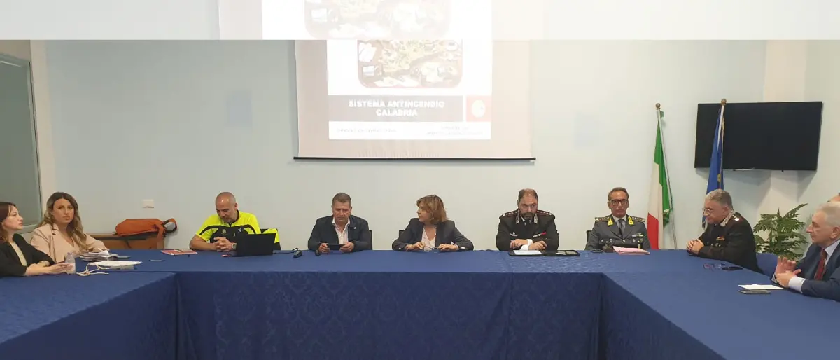 Incendi boschivi, in Prefettura a Vibo incontro per la prevenzione e il contrasto: «Coordinamento costante per tutelare il territorio»\n