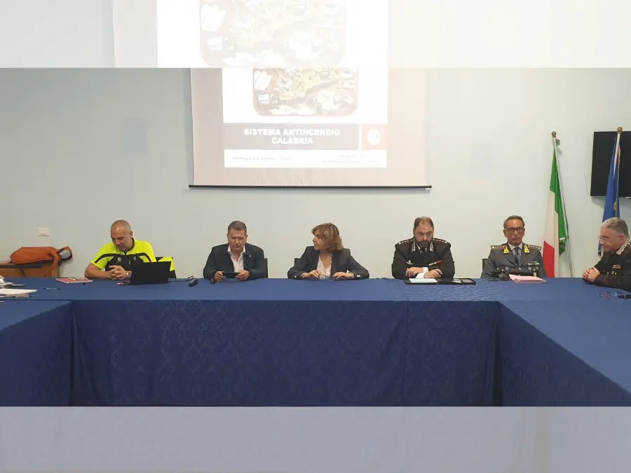 Incendi boschivi, in Prefettura a Vibo incontro per la prevenzione e il contrasto: «Coordinamento costante per tutelare il territorio»