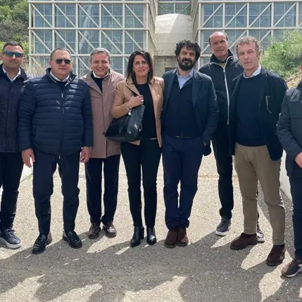 Cosenza Calcio, la minoranza di Palazzo dei Bruzi: «Ora basta rinvii, la città non può essere illusa ancora»
