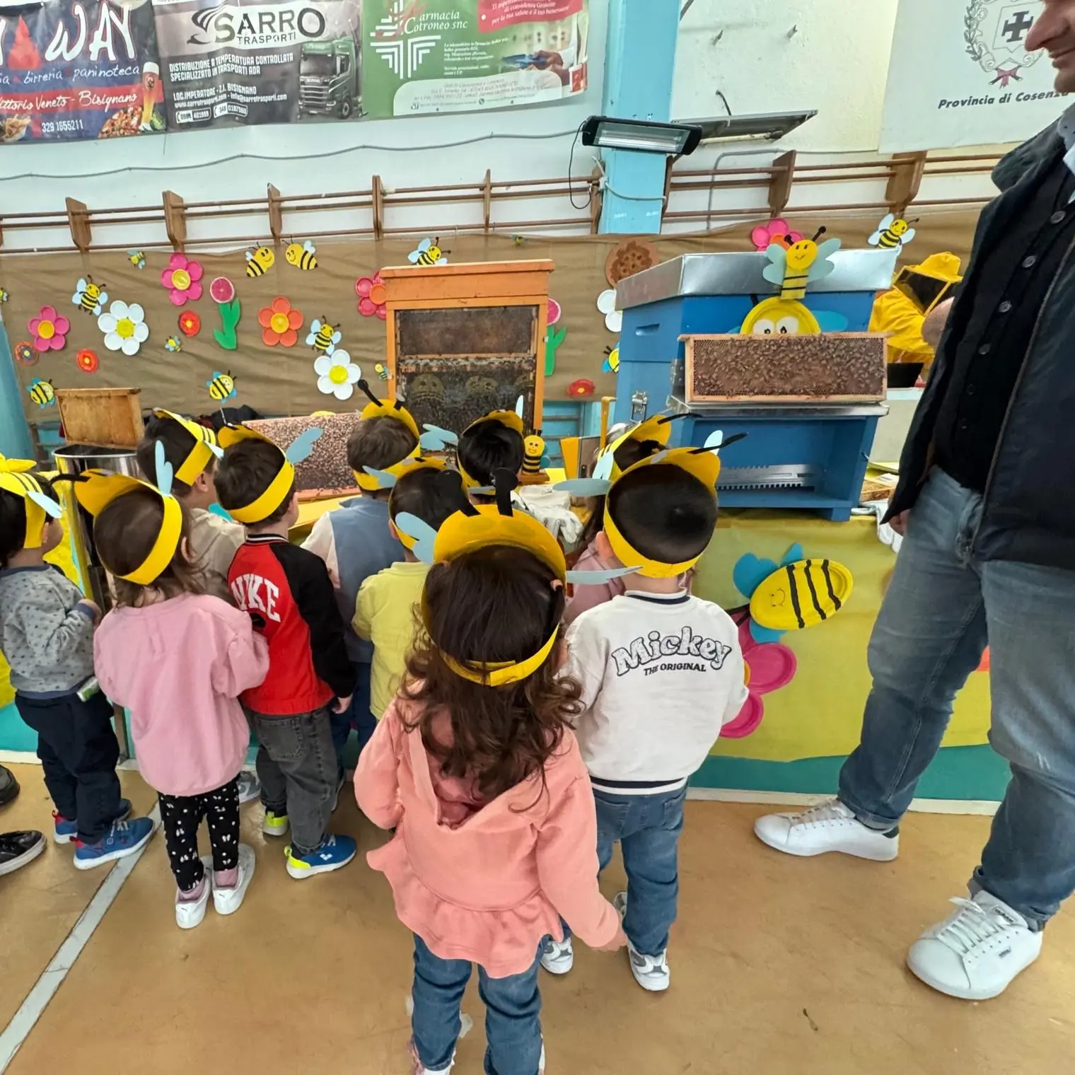 A Bisignano le api entrano in classe e insegnano collaborazione ai bambini\n