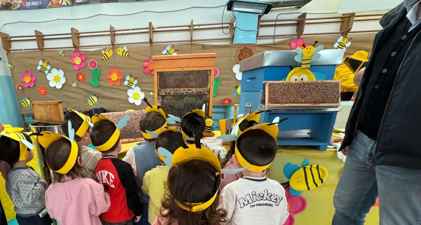 A Bisignano le api entrano in classe e insegnano collaborazione ai bambini\n