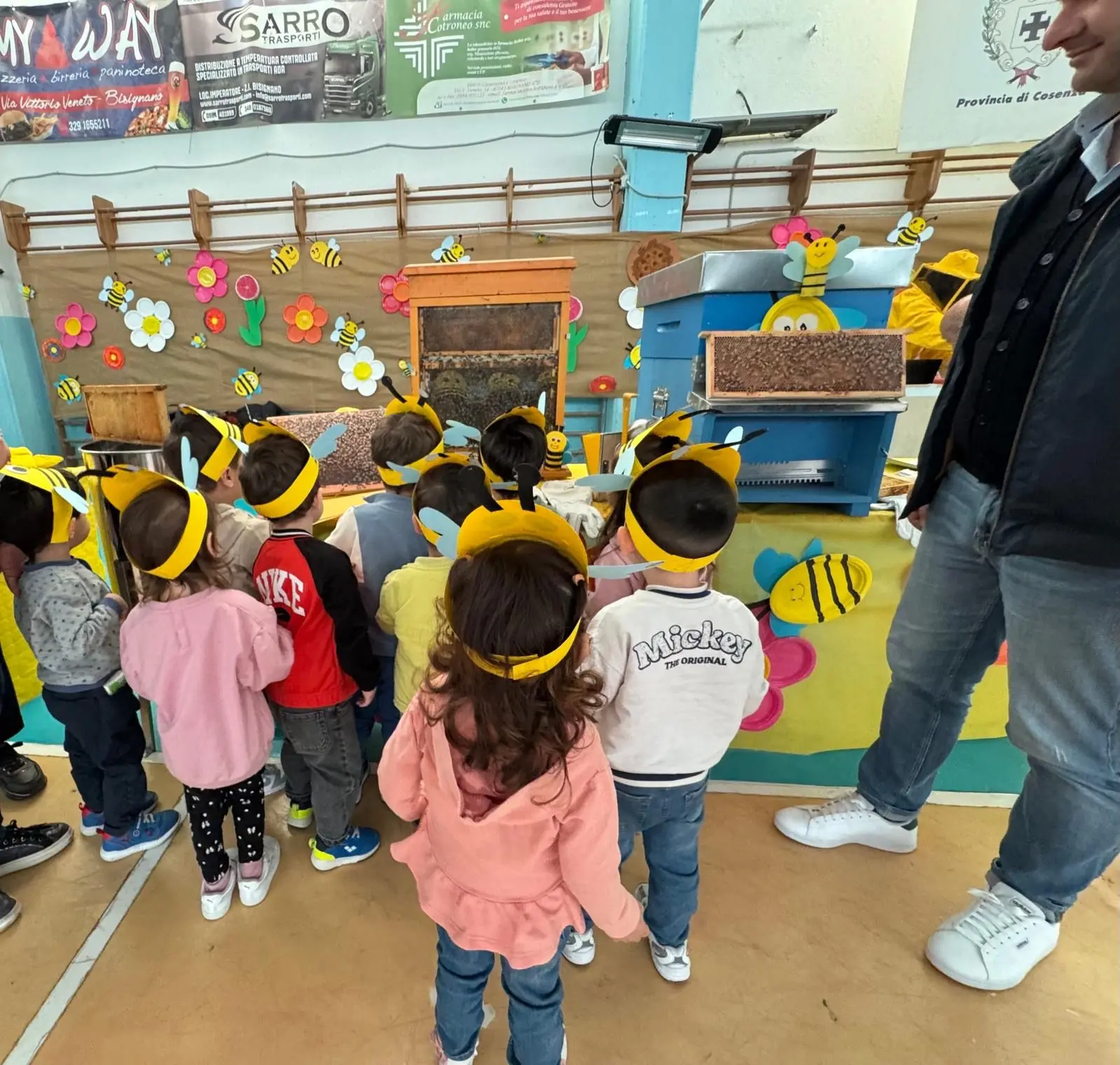 A Bisignano le api entrano in classe e insegnano collaborazione ai bambini\n