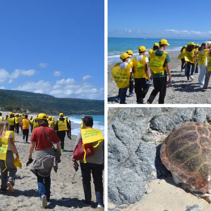 A Zambrone Legambiente e scuola insieme per pulire la spiaggia. Focus sulle tartarughe marine dopo il ritrovamento di una spiaggiata\n