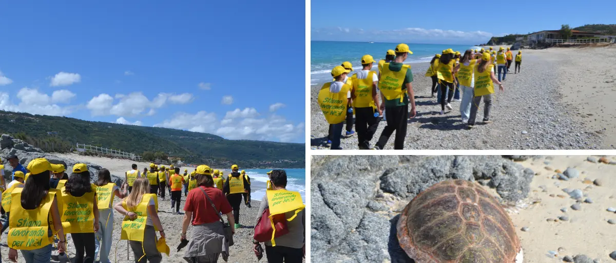 A Zambrone Legambiente e scuola insieme per pulire la spiaggia. Focus sulle tartarughe marine dopo il ritrovamento di una spiaggiata\n