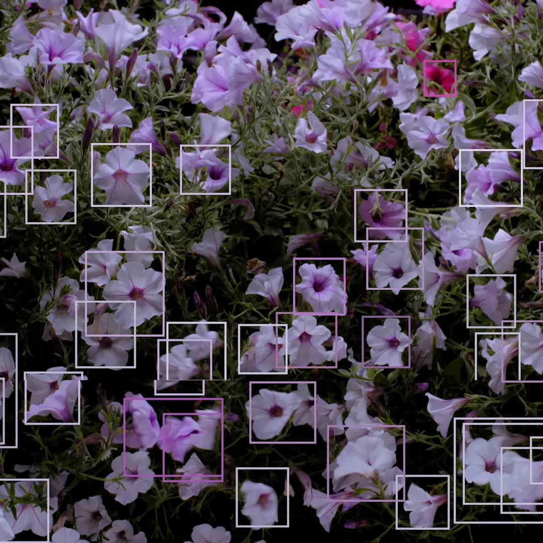 Con l’artista Davide Quayola si conclude il ciclo di incontri di “404 human not found”: il progetto di ricerca dell’Accademia di Belle Arti di Reggio\n