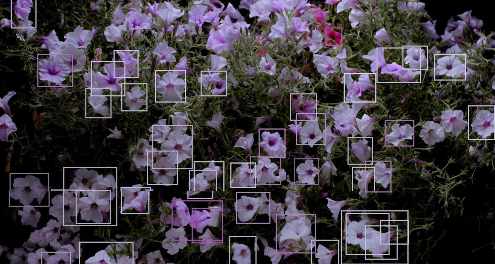 Con l’artista Davide Quayola si conclude il ciclo di incontri di “404 human not found”: il progetto di ricerca dell’Accademia di Belle Arti di Reggio\n