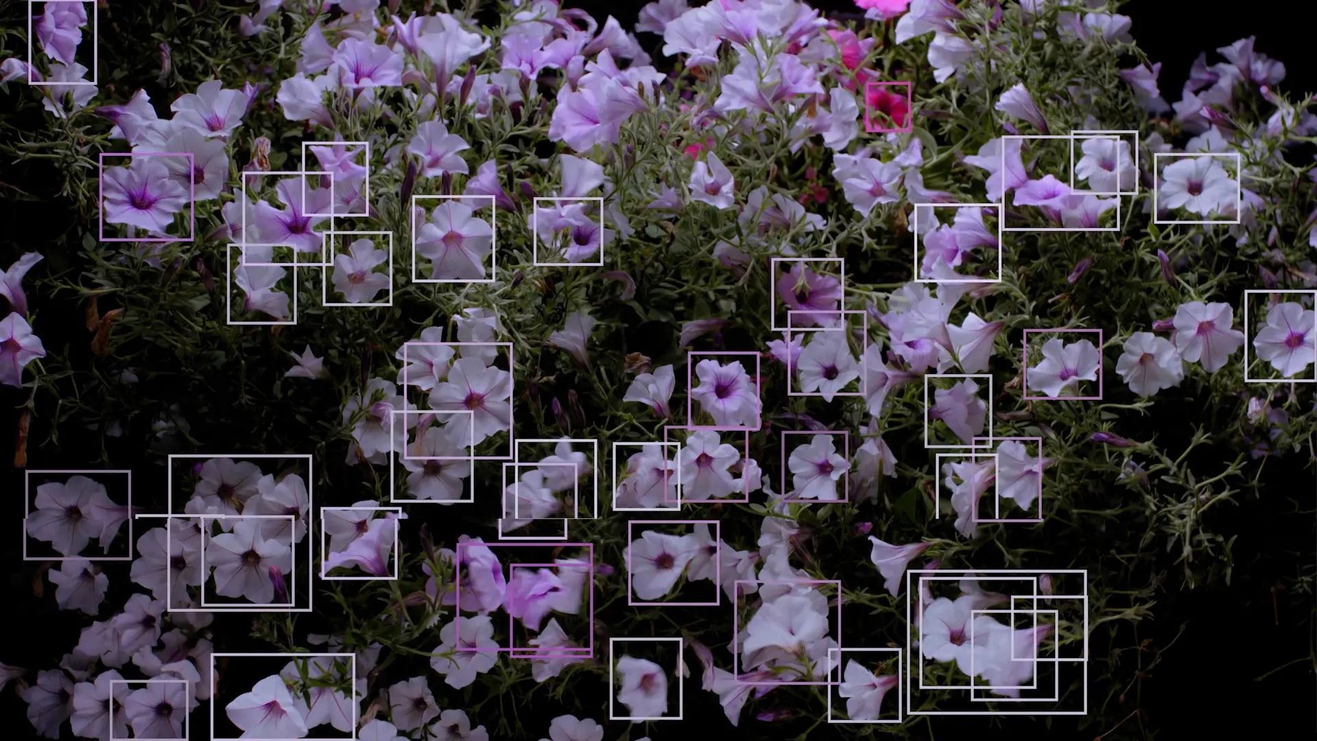 Con l’artista Davide Quayola si conclude il ciclo di incontri di “404 human not found”: il progetto di ricerca dell’Accademia di Belle Arti di Reggio\n
