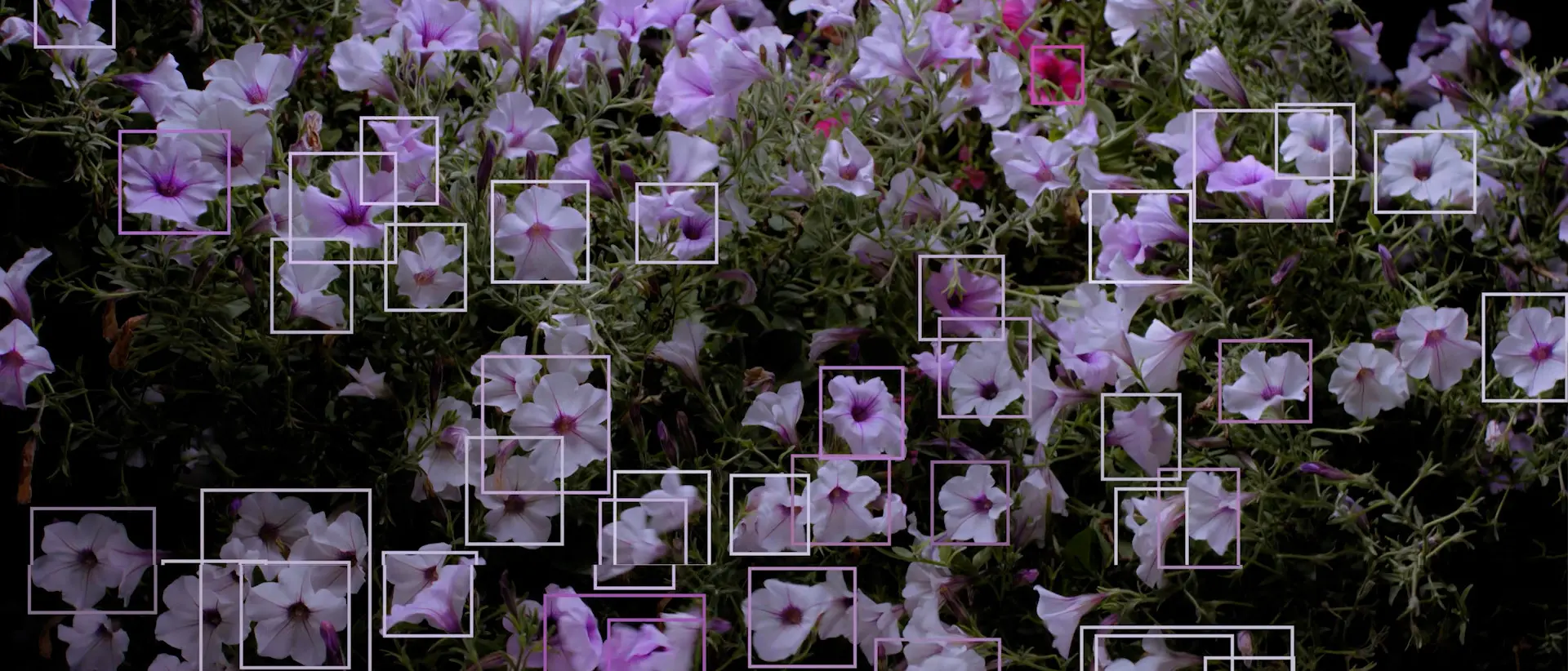 Con l’artista Davide Quayola si conclude il ciclo di incontri di “404 human not found”: il progetto di ricerca dell’Accademia di Belle Arti di Reggio\n
