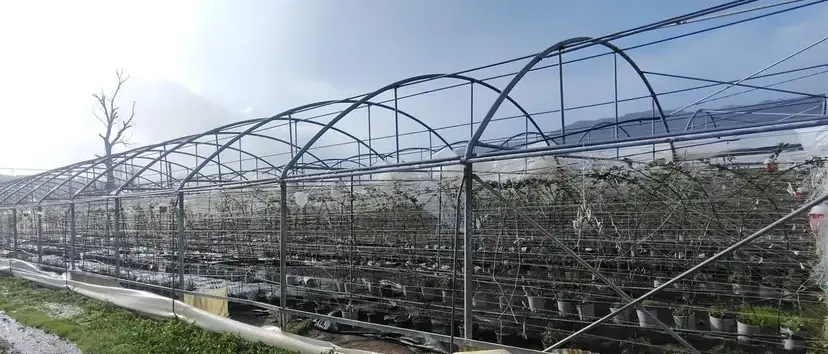 Ciclone Harry, il ministro Lollobrigida firma i decreti che destinano 111 milioni alle imprese\u00A0agricole e ittiche danneggiate\n