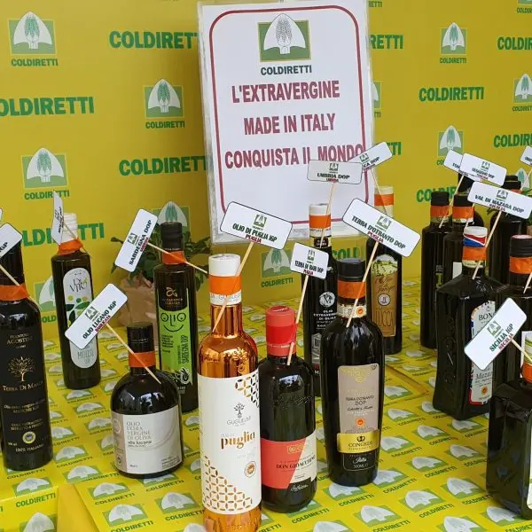 Olio calabrese, Coldiretti chiede controlli anti-frode e stop a trafficanti e sottocosto
