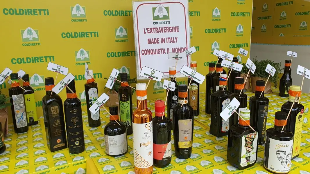 Olio calabrese, Coldiretti chiede controlli anti-frode e stop a trafficanti e sottocosto