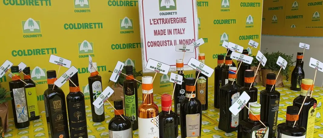 Olio calabrese, Coldiretti chiede controlli anti-frode e stop a trafficanti e sottocosto