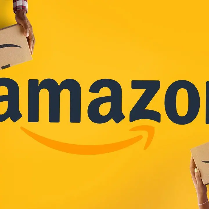 Amazon in fuga dalla ’ndrangheta,\u00A0la cosca Piromalli e l’avvocato del boss: «Vi aiuto a entrare nell’hub»\n