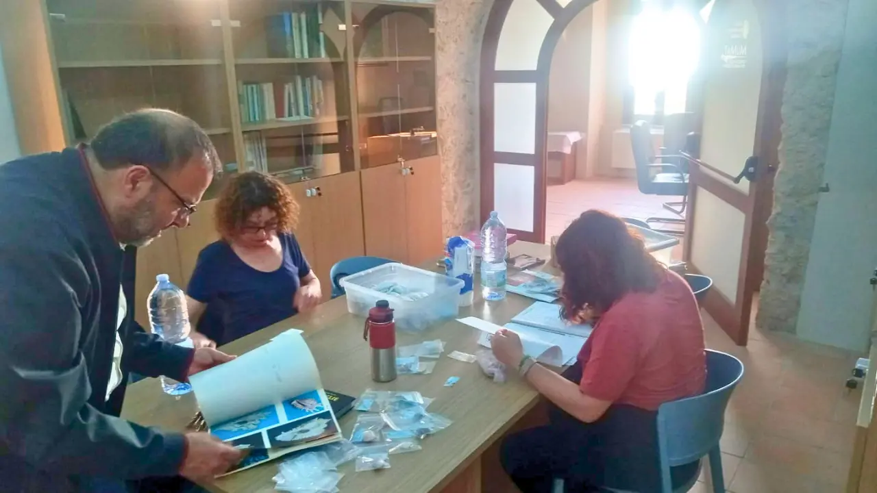 Tropea, al Museo del Mare la collezione Lenzi: donate 300 conchiglie. Verso la riapertura delle sale\n