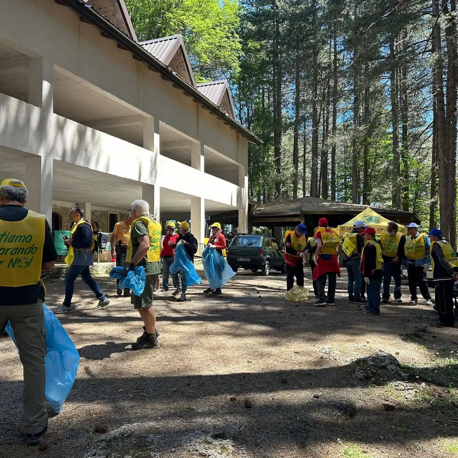 Monte Cocuzzo, centinaia di volontari per ripulire la pineta e valorizzare il territorio\n