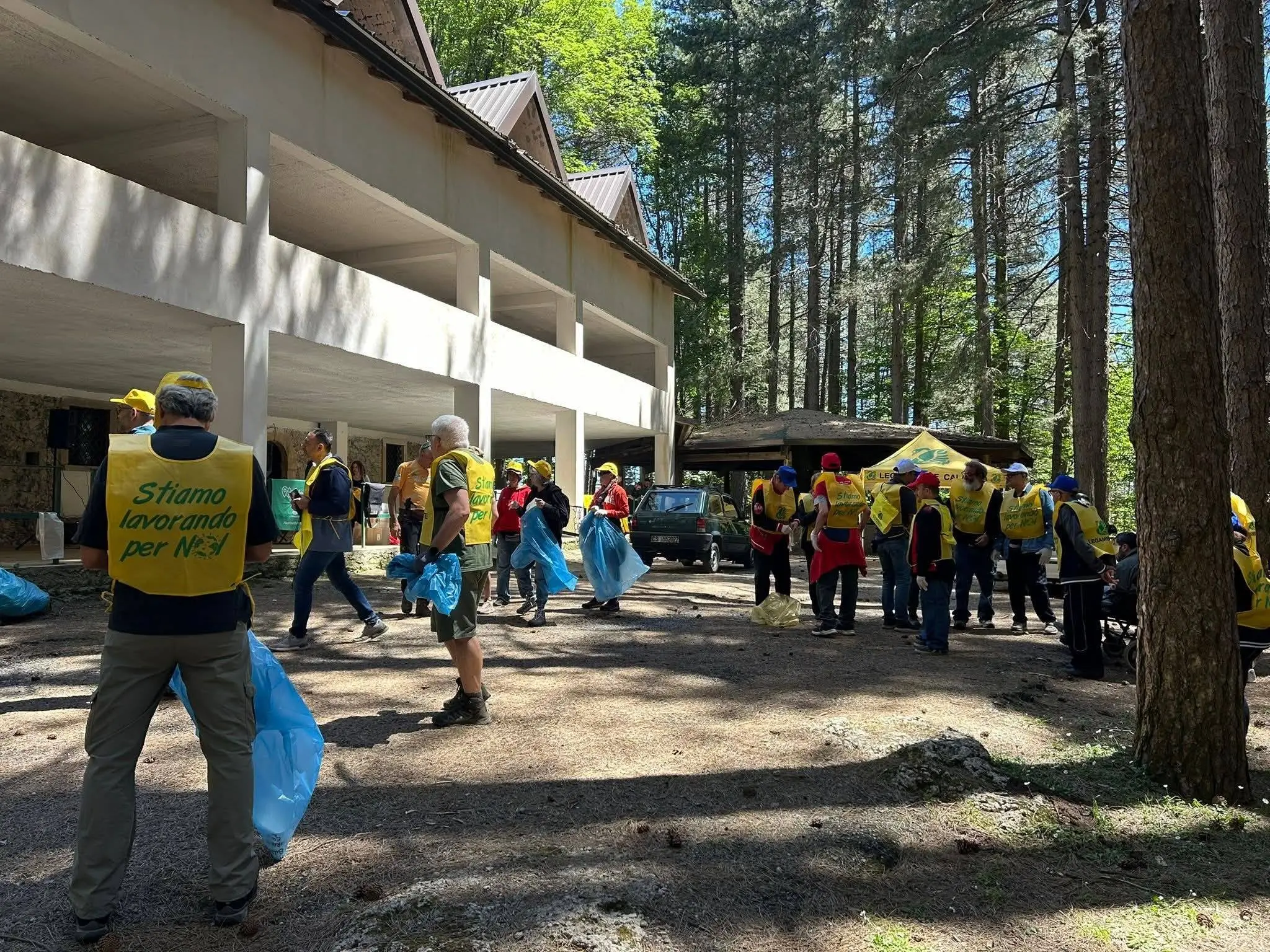 Monte Cocuzzo, centinaia di volontari per ripulire la pineta e valorizzare il territorio\n