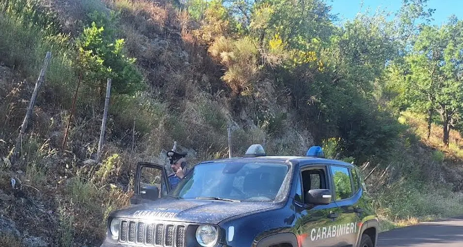 Pericoloso rogo di sterpaglie ai margini della strada in giornata ventosa: anziano sanzionato