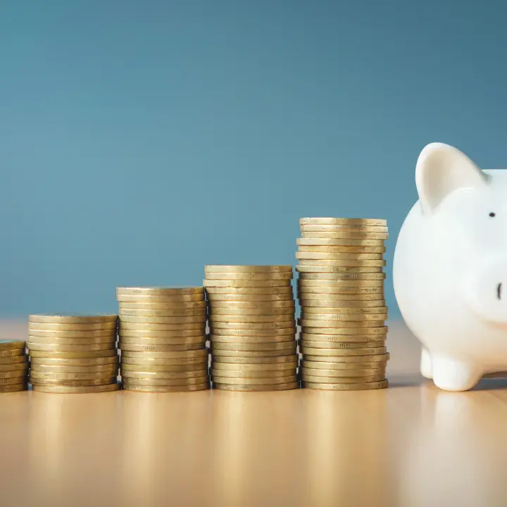 Risparmio, Vibo prima in Calabria ma sotto la media italiana: messi da parte 1.147 euro per famiglia (a\u00A0Milano tre volte di più)\u00A0 \u00A0\n