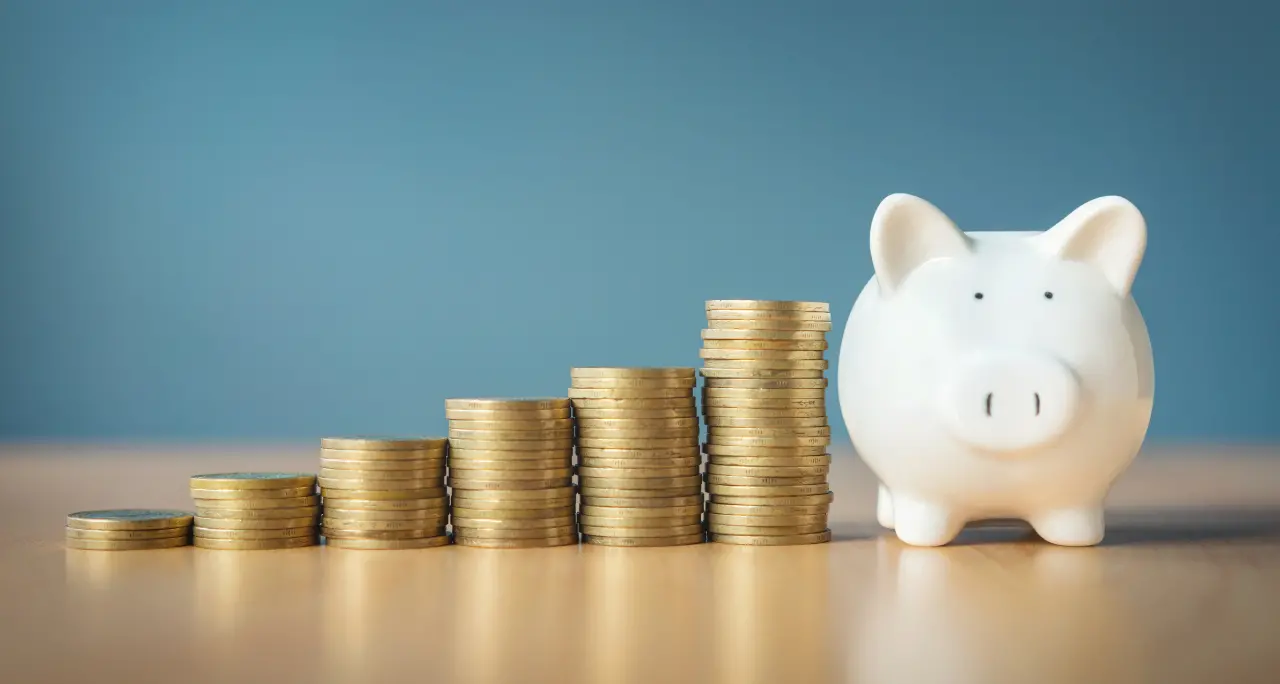 <p>Risparmio, Vibo prima in Calabria ma sotto la media italiana: messi da parte <span style=\"color:hsl(0, 75%, 60%);\">1.147 euro per famiglia </span>(a Milano tre volte di più)   </p>