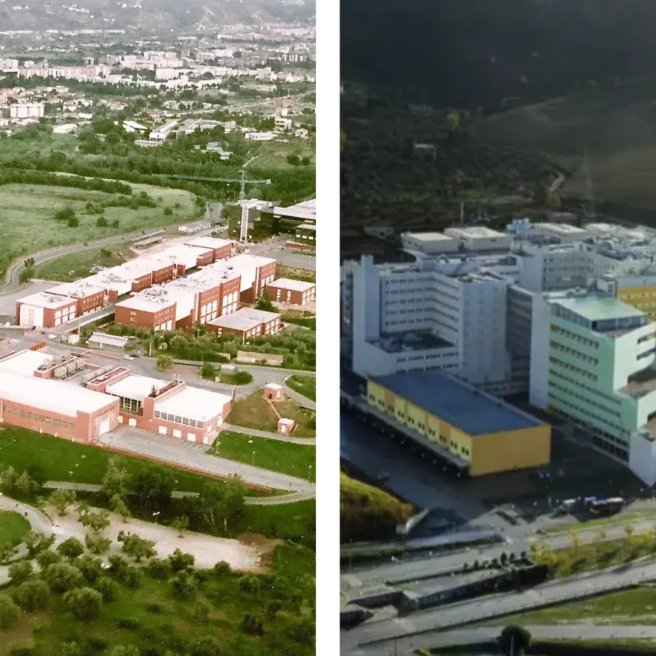 Unical e Magna Graecia tra le 2mila migliori università al mondo. Ma l’Italia perde posizioni: «Pochi fondi per la ricerca»\n
