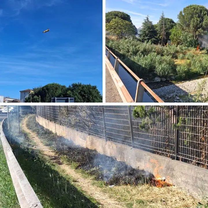 Rende, fiamme nel parco Robinson: intervenuto un canadair\n