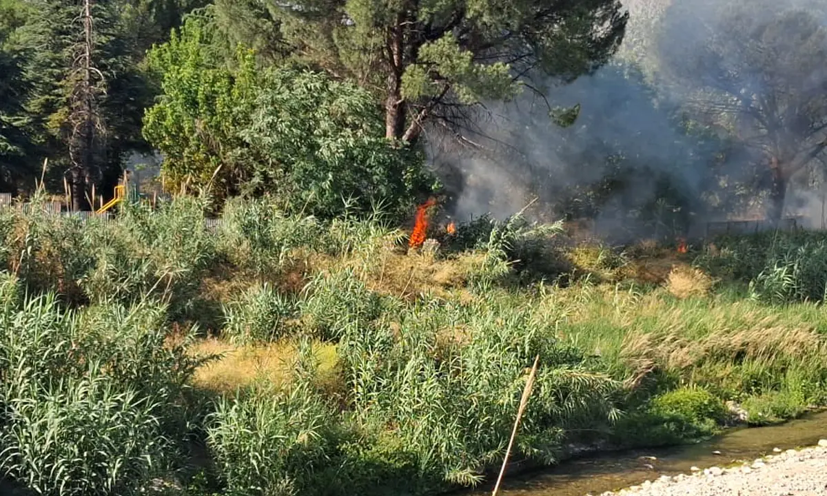 Rende, Parco Robinson aperto e fruibile. Incendio divampato nella parte chiusa al pubblico\n