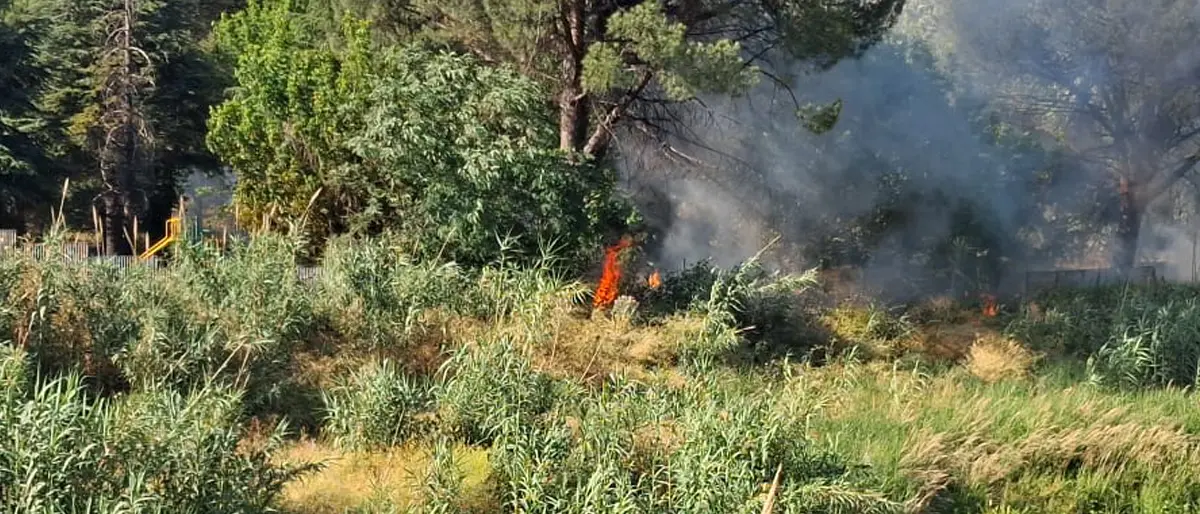 Rende, Parco Robinson aperto e fruibile. Incendio divampato nella parte chiusa al pubblico\n