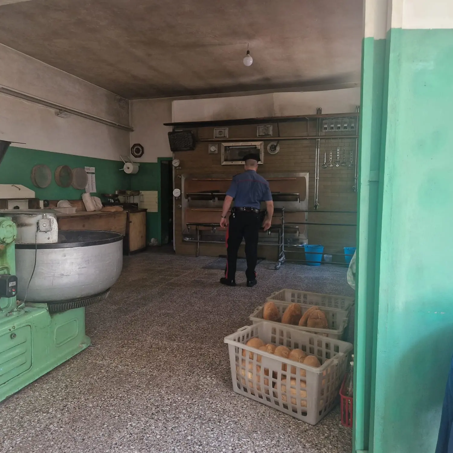 <p>Controlli Nas a Sersale: sanzionato panificio per irregolarità igienico-sanitarie</p>