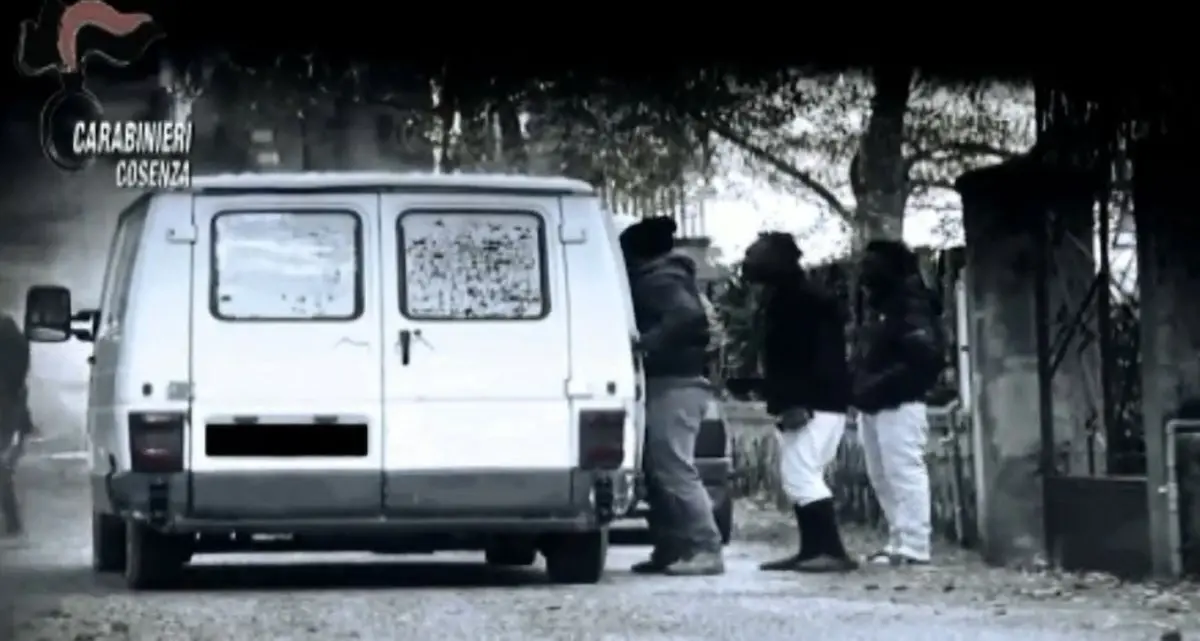Caporalato in Calabria, il sistema invisibile dietro la strage di Amendolara: violenze e ricatti, fino a 12mila lavoratori sfruttati\u00A0\n