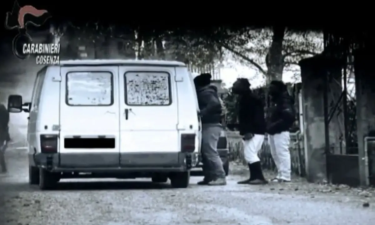 Caporalato in Calabria, il sistema invisibile dietro la strage di Amendolara: violenze e ricatti, fino a 12mila lavoratori sfruttati\u00A0\n
