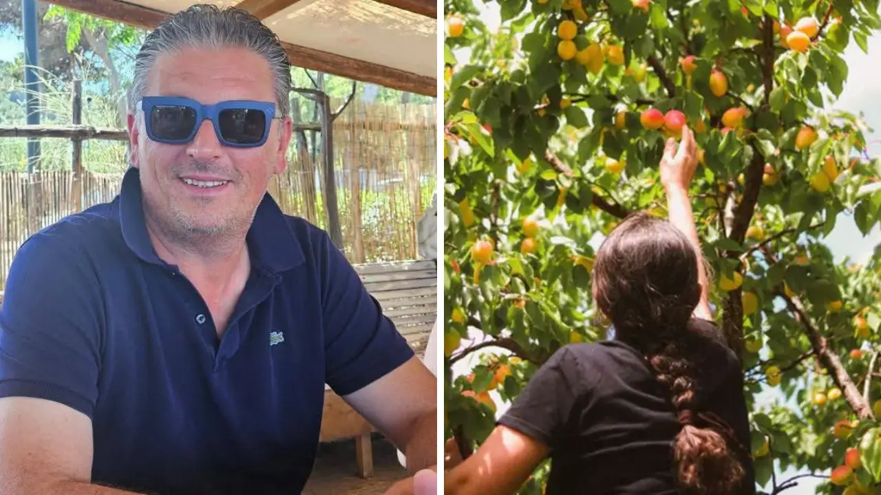 Strage dei braccianti ad Amendolara, parla l’imprenditore che li aveva assunti: «Non erano più con noi da una settimana»\n