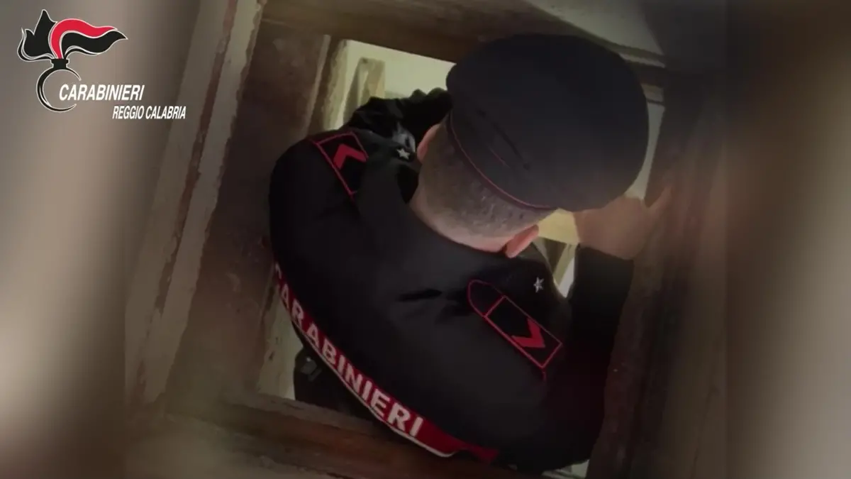 Bunker con camera di fuga e cunicoli segreti ad Ardore, i carabinieri portano alla luce un labirintO\u00A0sotterraneo –\u00A0VIDEO\n