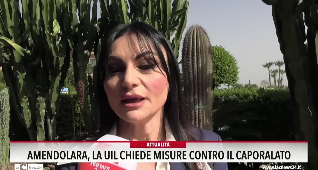 Amendolara, la Uil chiede misure contro il caporalato