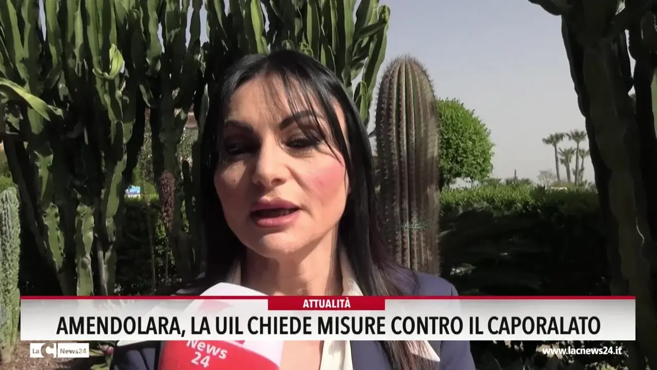 Amendolara, la Uil chiede misure contro il caporalato