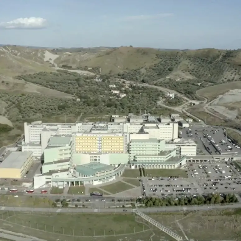 Scienze chimiche d’eccellenza, l’Università Magna Graecia di Catanzaro tra le migliori per qualità di ricerca\n