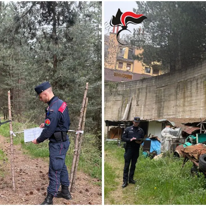 Rifiuti speciali abbandonati nel Parco della Sila, sequestrata un'area a Villaggio Mancuso: due denunciati\n