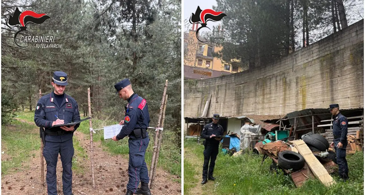 Rifiuti speciali abbandonati nel Parco della Sila, sequestrata un'area a Villaggio Mancuso: due denunciati\n