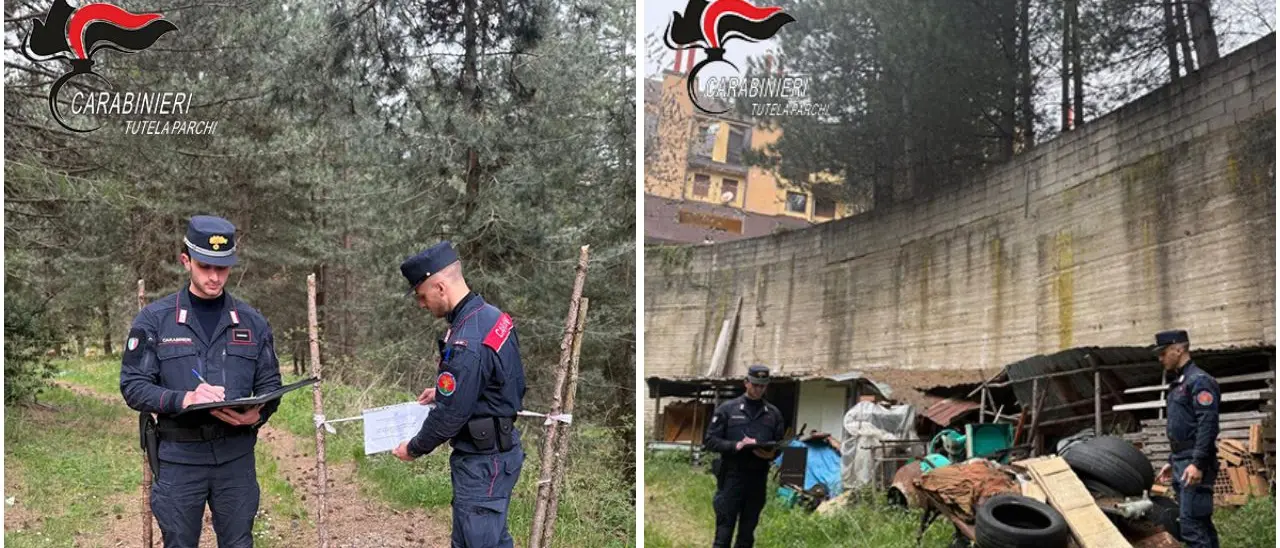 Rifiuti speciali abbandonati nel Parco della Sila, sequestrata un'area a Villaggio Mancuso: due denunciati\n