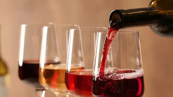 <p><span style=\"color:hsl(0,75%,60%);\">Calici in alto</span>, la festa dei vini naturali sbarca a Lamezia Vinipendenti</p>