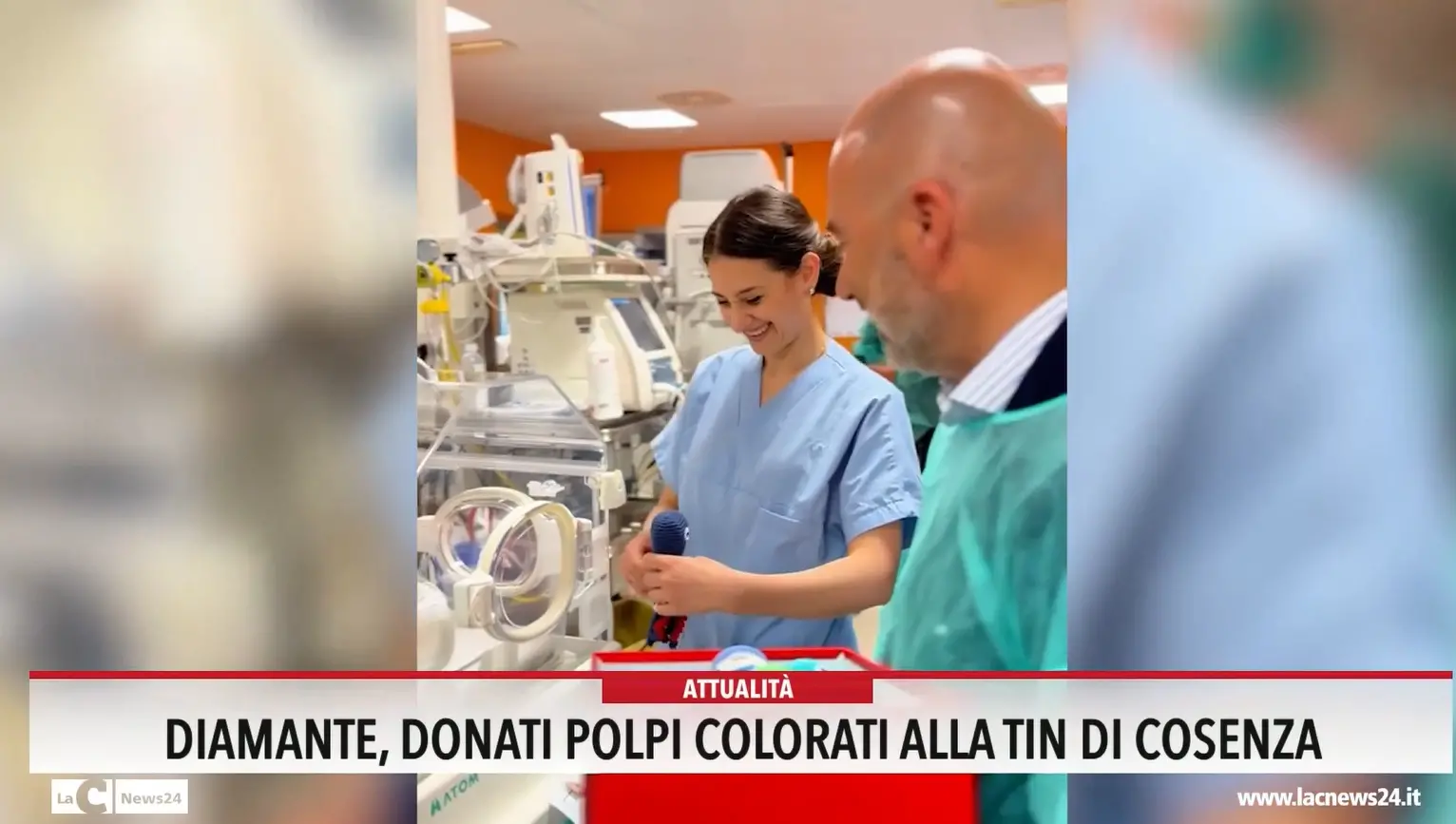 Diamante, donati polpi colorati alla TIN di Cosenza