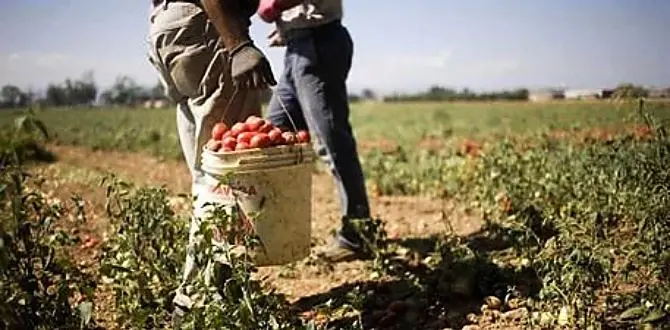 Caporalato e lavoro nero valgono 77 miliardi, la Calabria maglia nera d’Italia: il 17,9% degli occupati è irregolare\n